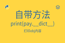 自带方法 - print(pay.__dict__)打印obj内容