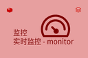 监控 - 实时监控 - monitor