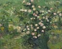 1890 - 玫瑰与绿叶 - 繁花绿叶展生机 