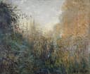 乡村与田园风光画 - 未知 - 描绘野外繁茂植物景致 