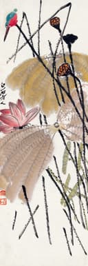 花鸟画 - 未知 - 花鸟相映展自然之美 