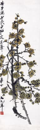 花鸟画 - 杏子坞老民画京华 - 绘墨梅绽放尽显雅致 