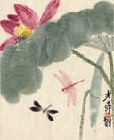 花鸟画 - 未知 - 荷花蜻蜓绘就灵动画面 