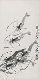 虫鱼画 - 墨虾 - 水墨绘灵动鲜活之虾 