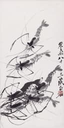 虫鱼画 - 墨虾 - 水墨绘灵动鲜活群虾 