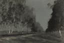 孤独静谧情感主题 - 雨中桦林 - 雨中桦林展孤独静谧感 