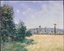 自然风景风貌主题 - 未知名田野风景 - 展现田野树木的自然景致 