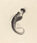 象征梦幻场景主题 - 美人鱼形象画作 - 美人鱼独特造型的勾勒 