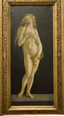 美神维纳斯主题 - 卢浮宫的维纳斯 - 展现维纳斯的柔美与优雅 