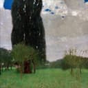 其他 - 未知 - 展现葱郁草地与高大树木 