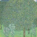 其他 - 《苹果树》 - 繁茂苹果树的斑斓景致 