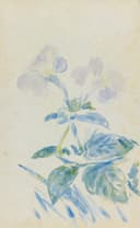 其他 - 花卉水彩画 - 淡彩绘就花卉之柔美 