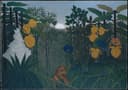 动物植物共生主题 - 未命名画作 - 丛林中动物与植物共栖 