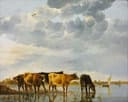 其他 - 多德雷赫特附近的风景 - 河畔牛群与远帆景致 