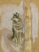 其他 - 坐立的犬 - 描绘犬坐立姿态的画作 