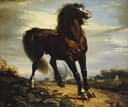 其他 - 未知名骏马画作 - 展现骏马的飒爽英姿 