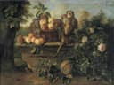 静物写实描绘主题 - 猴与果篮 - 猴子与果篮的生动画面 