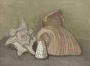 静物简约组合主题 - 贝壳静物画 - 几种贝壳的简约静物呈现 