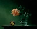 其他 - 静物花卉石榴图 - 花瓶玫瑰与切开石榴 