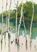 自然风景神韵主题 - 未知 - 展现自然林间水畔景致 