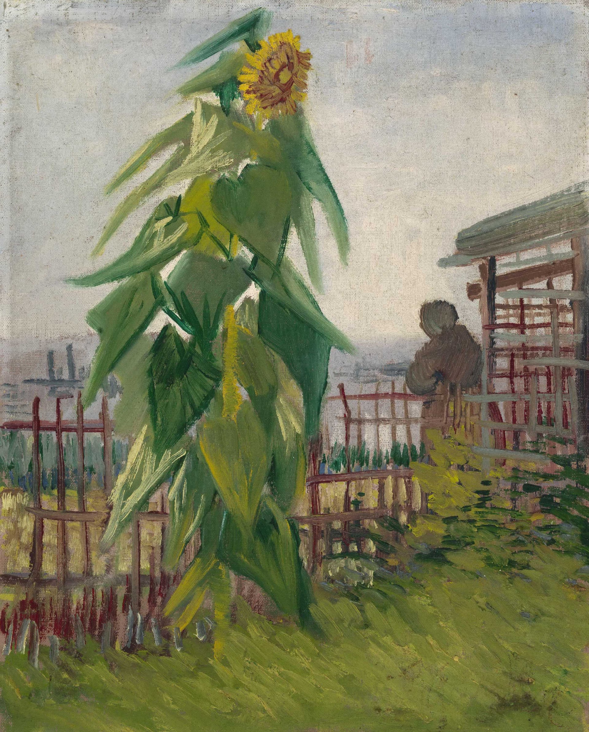 1916 - 向日葵与人物 - 田园生机花草之景 