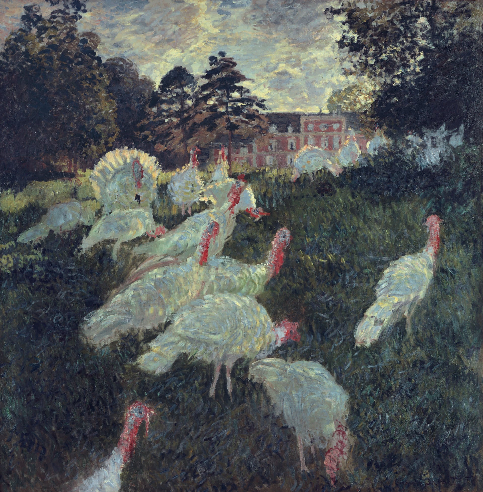 乡村与田园风光画 - 群火鸡的田园景致  - 
