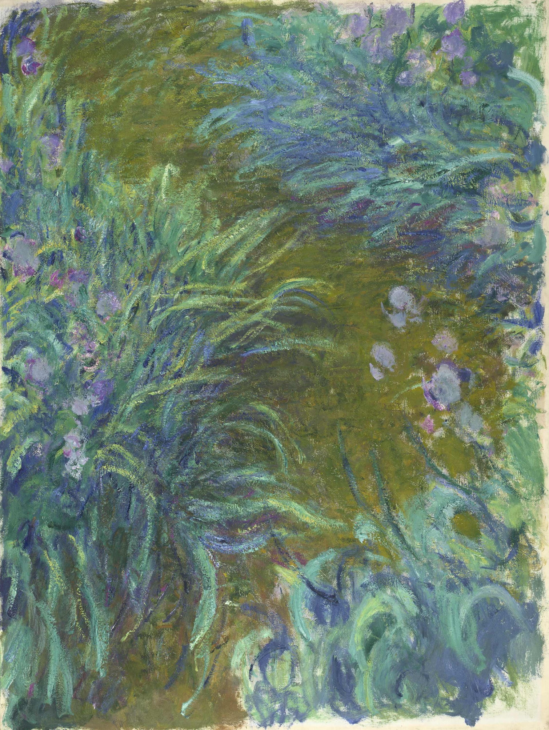 花卉画 - 无名花卉画作 - 多彩花卉与绿植交织 