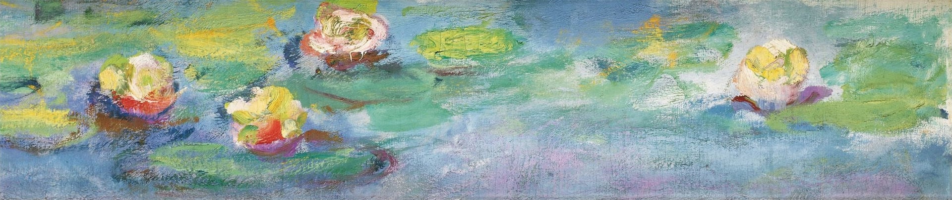 花卉画 - 睡莲 - 水中睡莲绽放色彩绚丽 