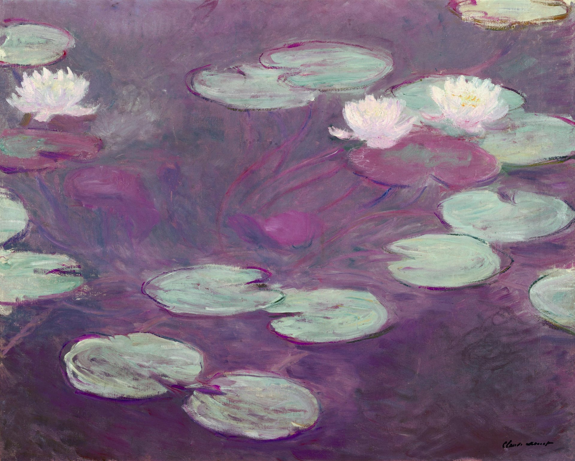 花卉画 - 睡莲 - 展现睡莲漂浮水面之美 
