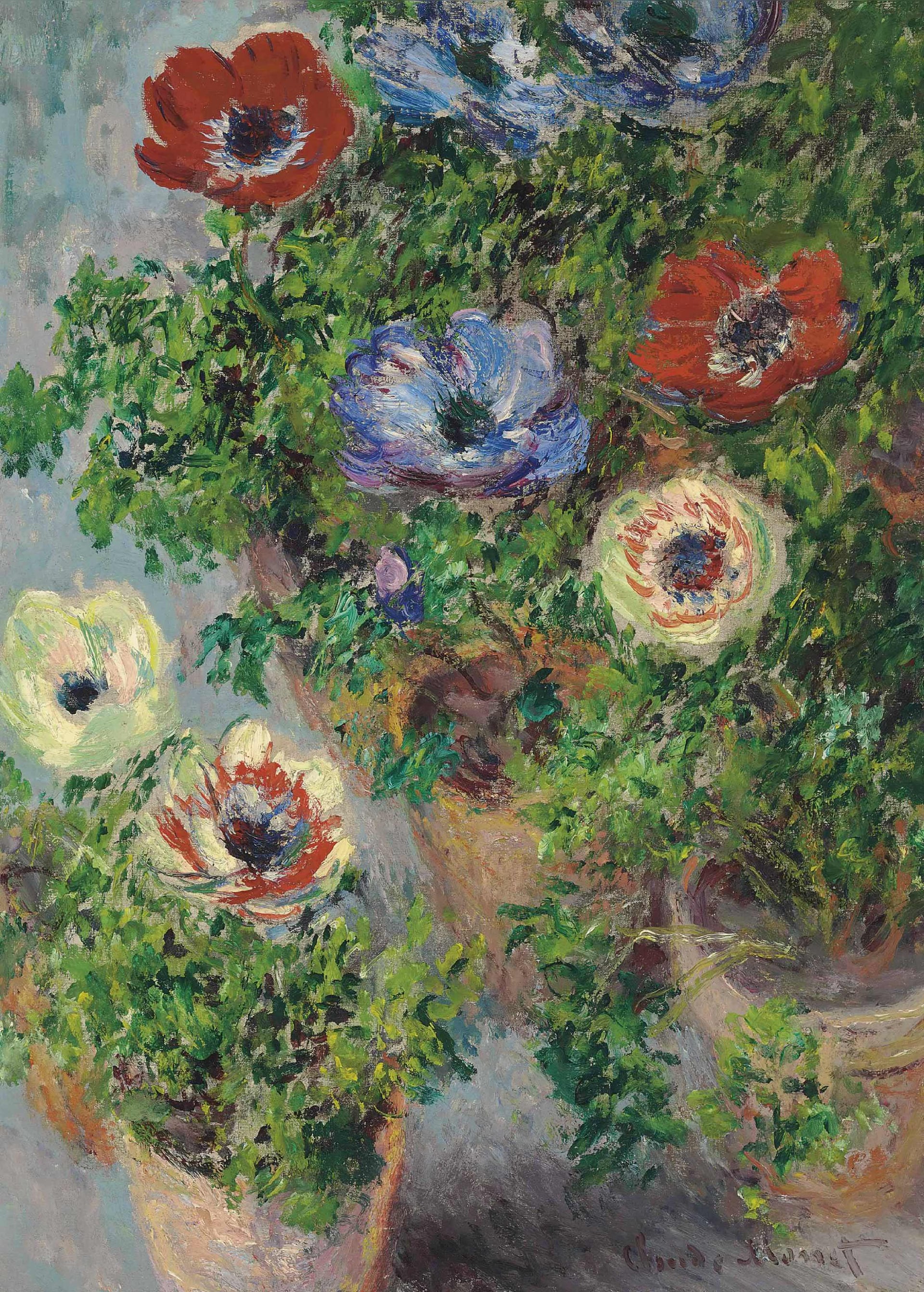 花卉画 - 银莲花 - 多彩银莲花生机盎然 