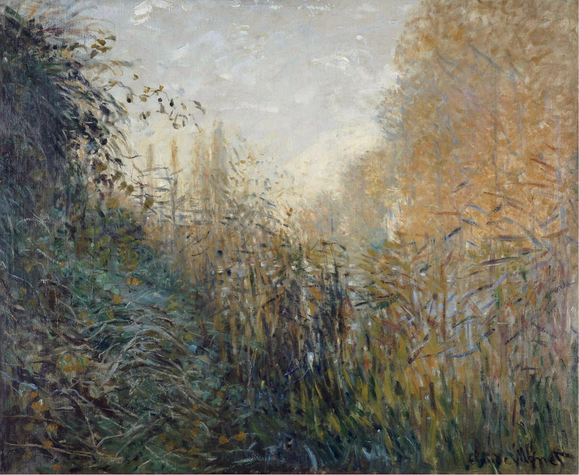 乡村与田园风光画 - 未知 - 描绘野外繁茂植物景致 