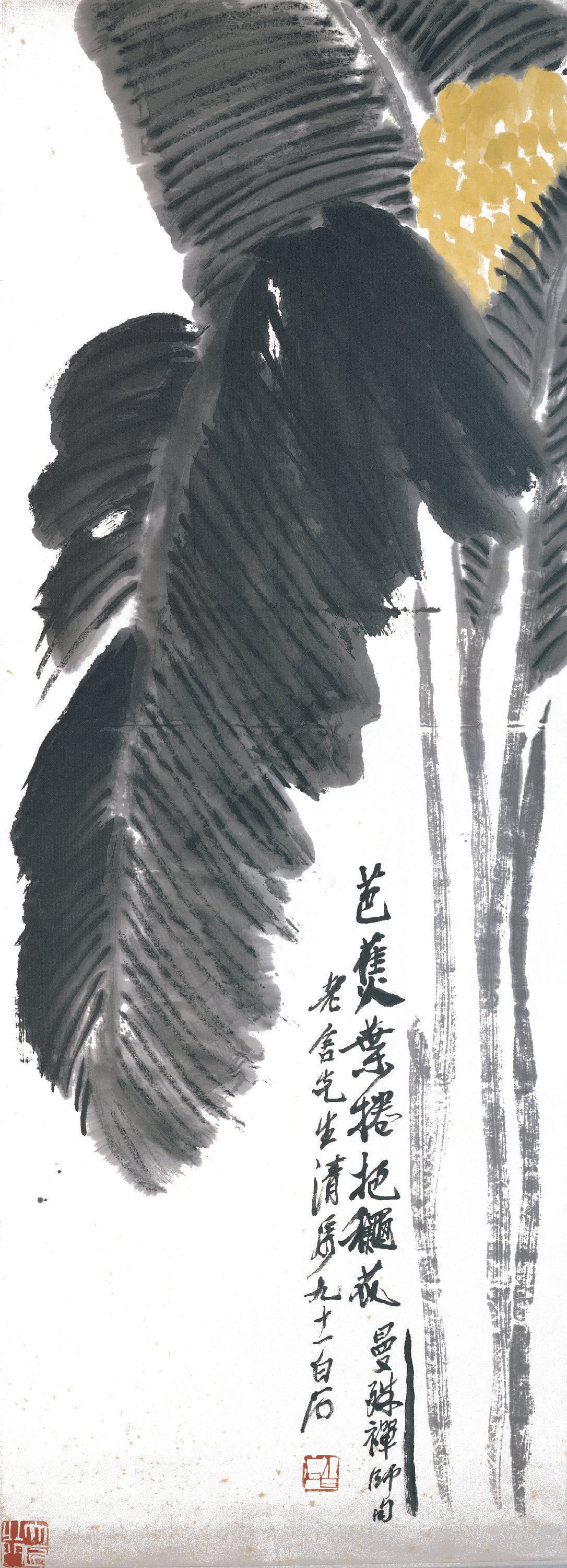 蔬果画 - 芭蕉 - 水墨绘就芭蕉之韵致 