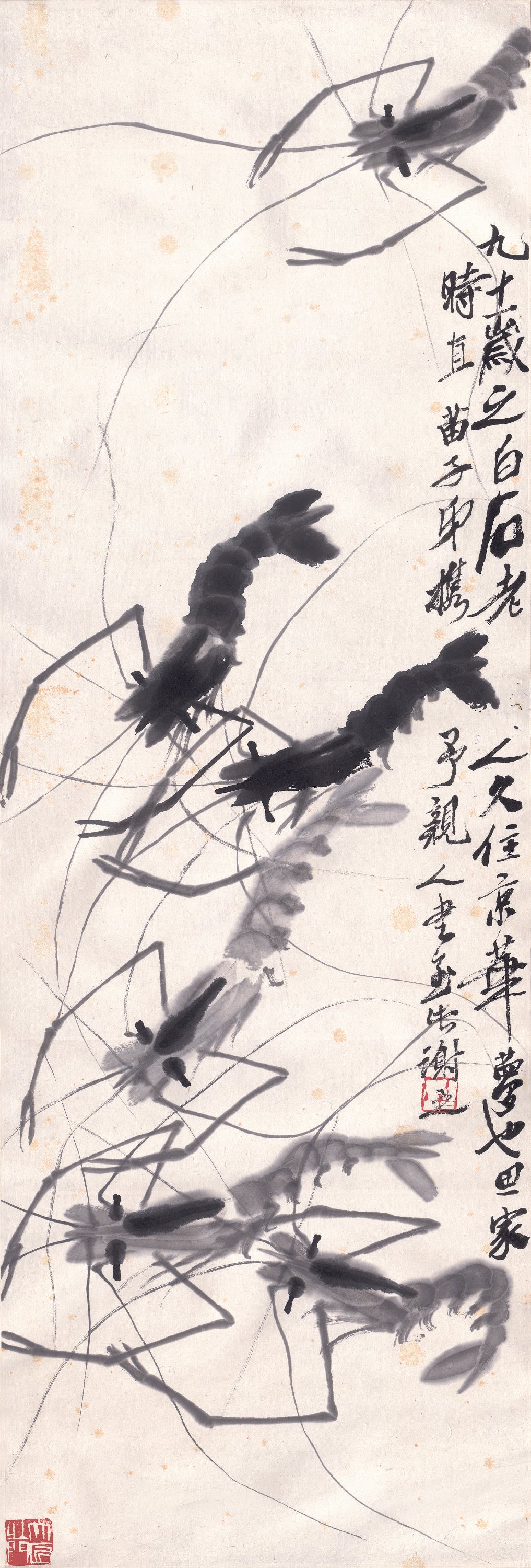 虫鱼画 - 墨虾 - 水墨绘灵动鲜活之虾 