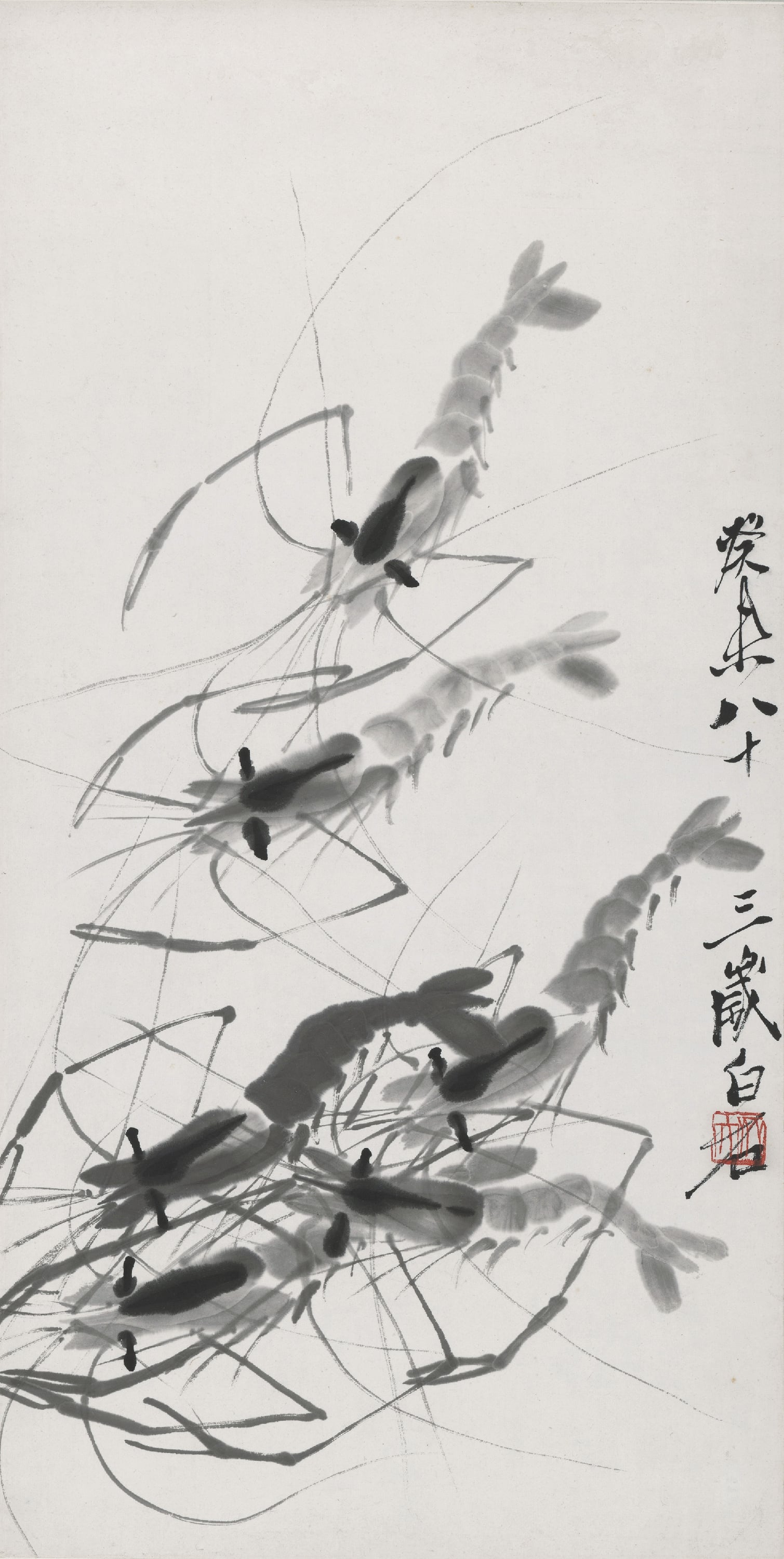 虫鱼画 - 墨虾 - 水墨绘灵动鲜活之虾 