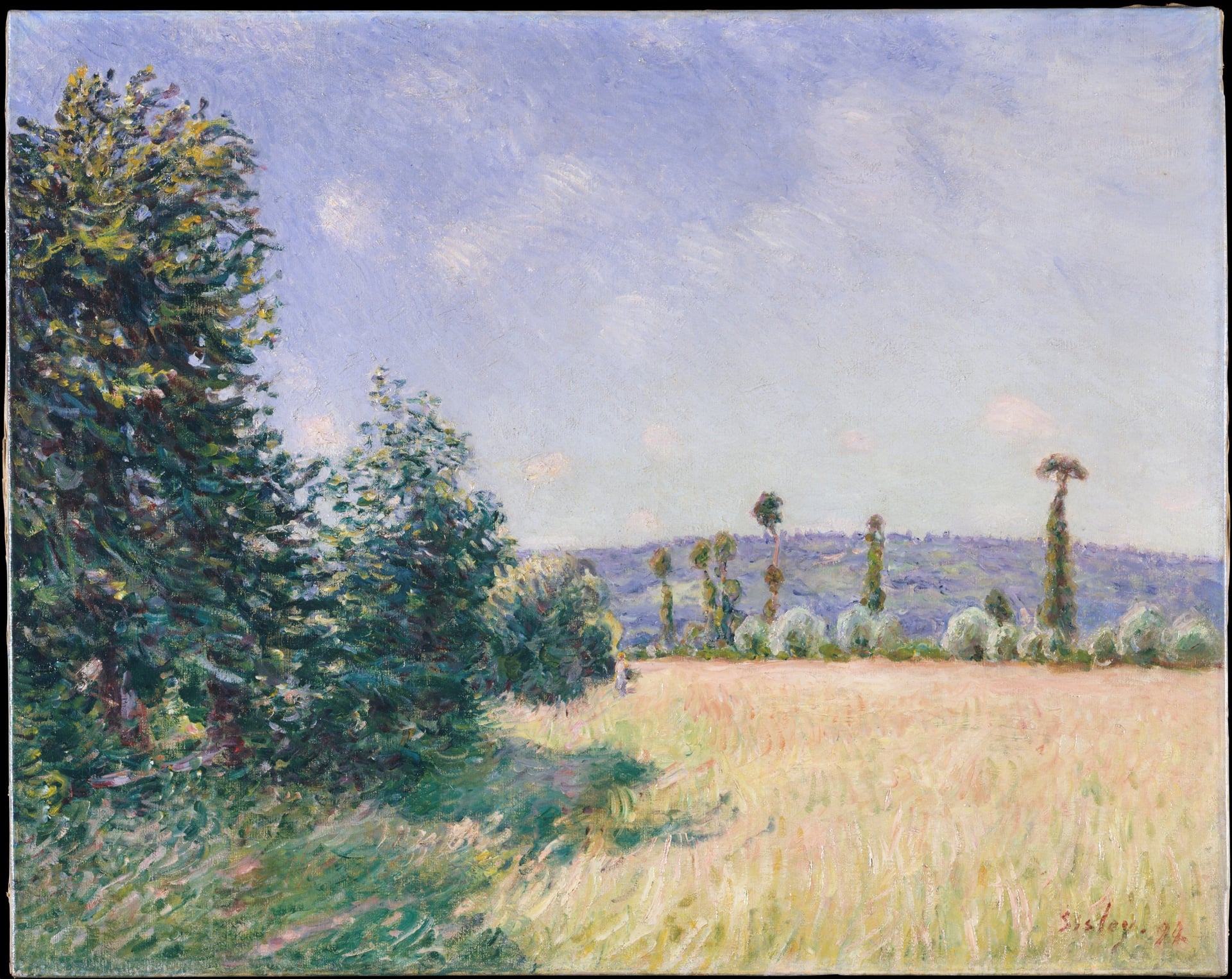 自然风景风貌主题 - 未知名田野风景 - 展现田野树木的自然景致 