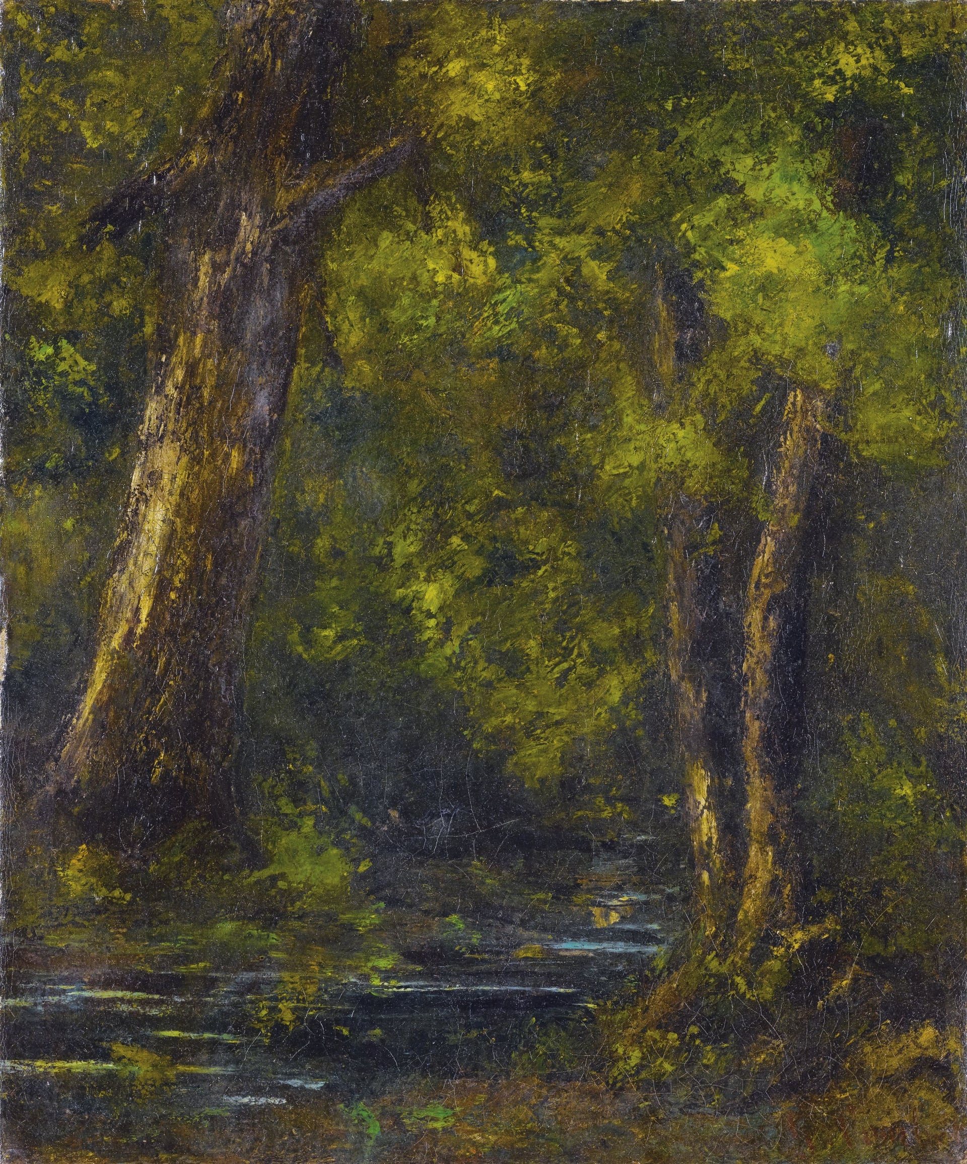 自然风景描绘主题 - 林间溪流之景 - 展现林间溪流树木景致 