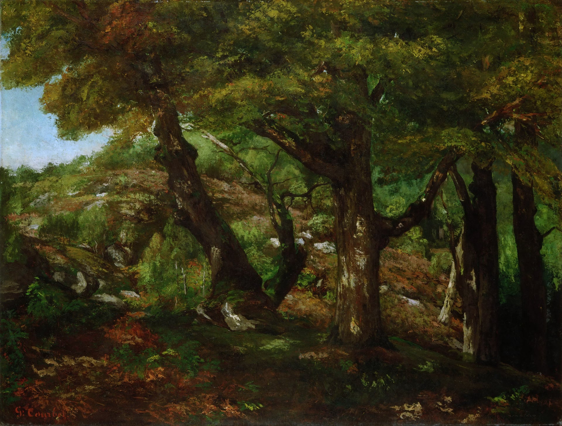自然风景描绘主题 - 未知 - 展现林间繁茂自然景致 