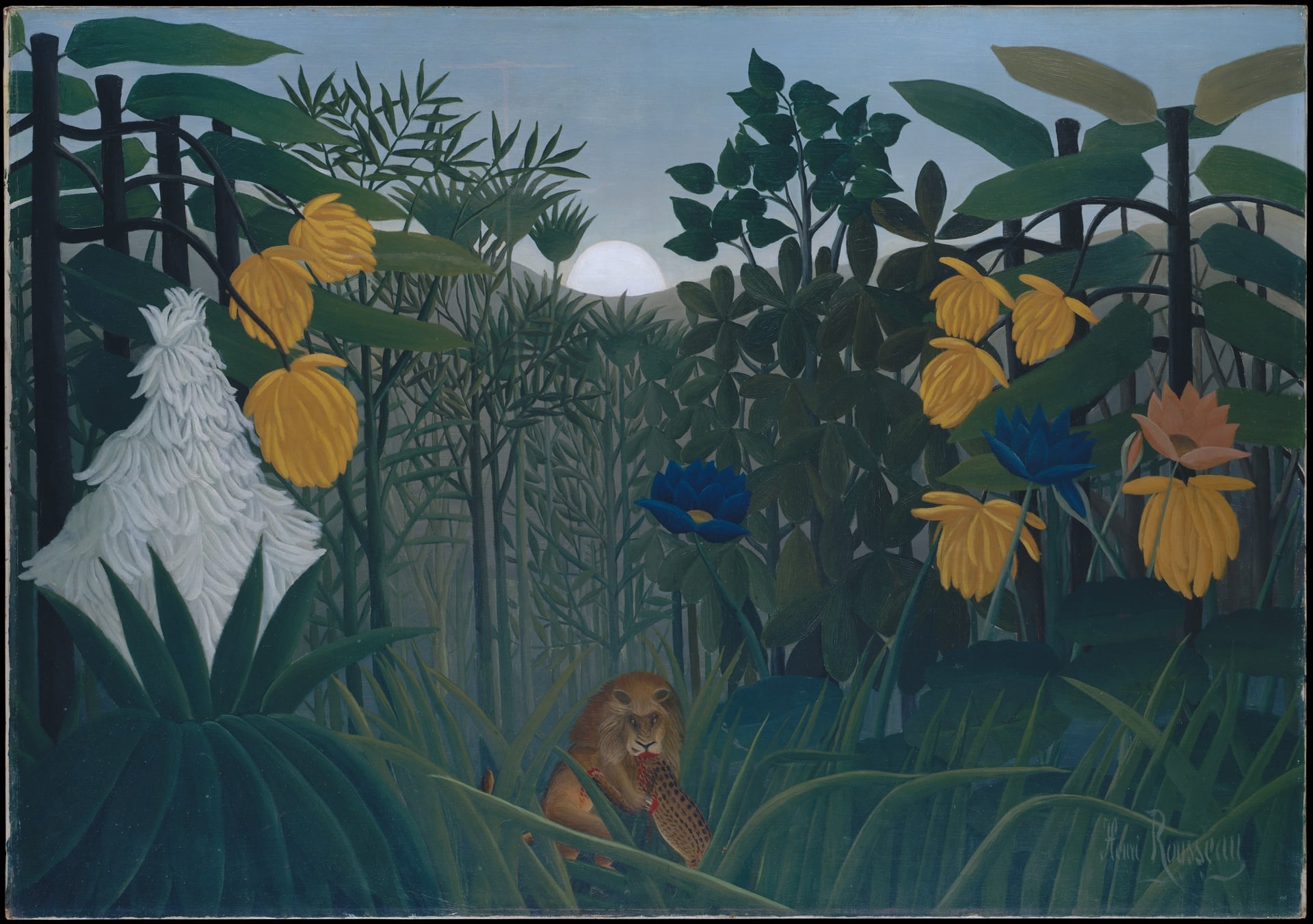 动物植物共生主题 - 未命名画作 - 丛林中动物与植物共栖 