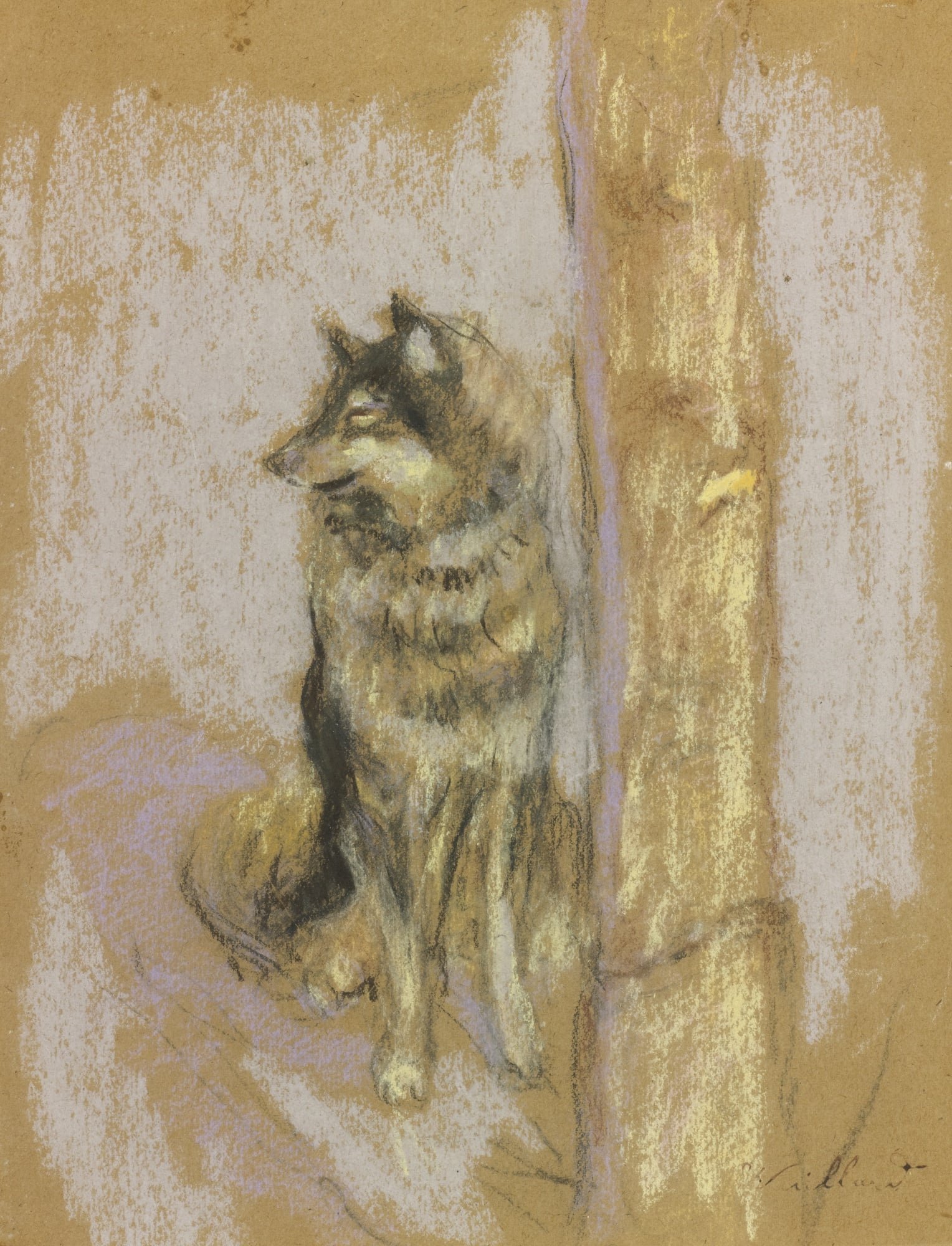 其他 - 坐立的犬 - 描绘犬坐立姿态的画作 