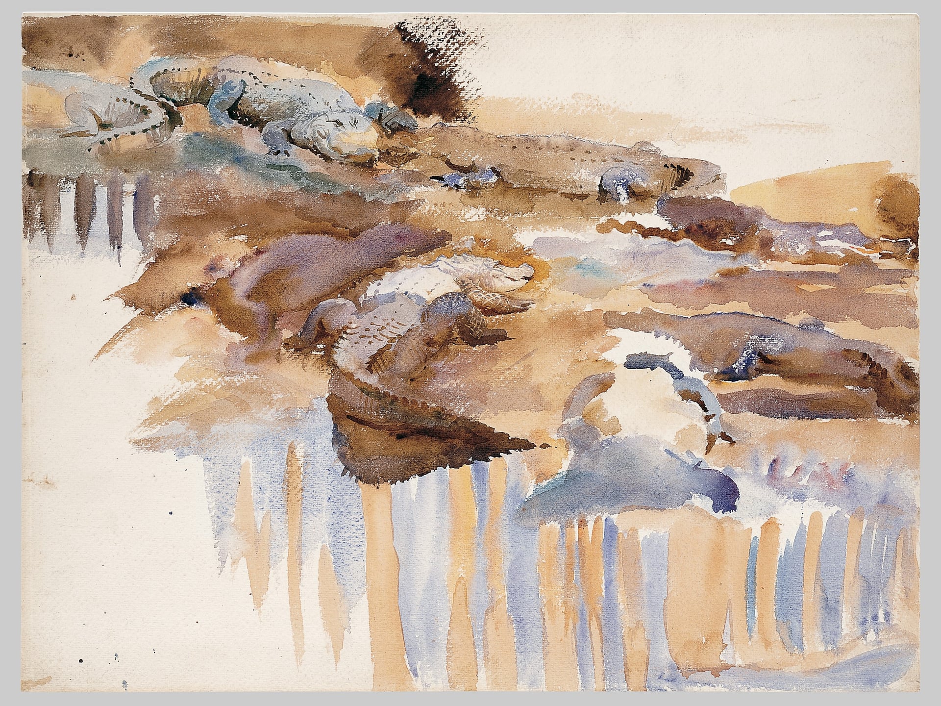 其他 - 鳄鱼水彩画 - 水彩绘鳄鱼栖息场景 