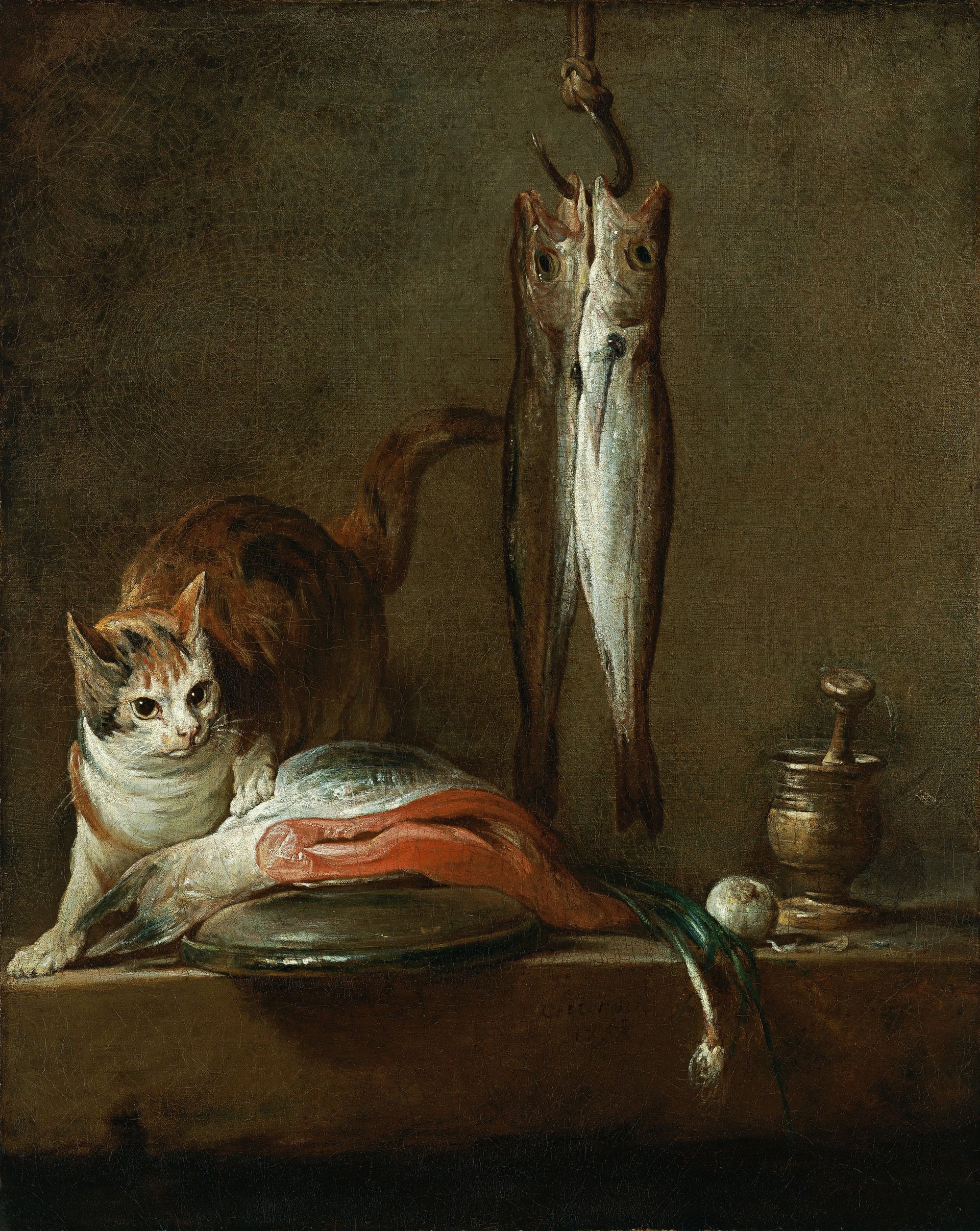 静物写实描绘主题 - 猫与鱼的静物画面 - 展现猫和鱼等静物场景 
