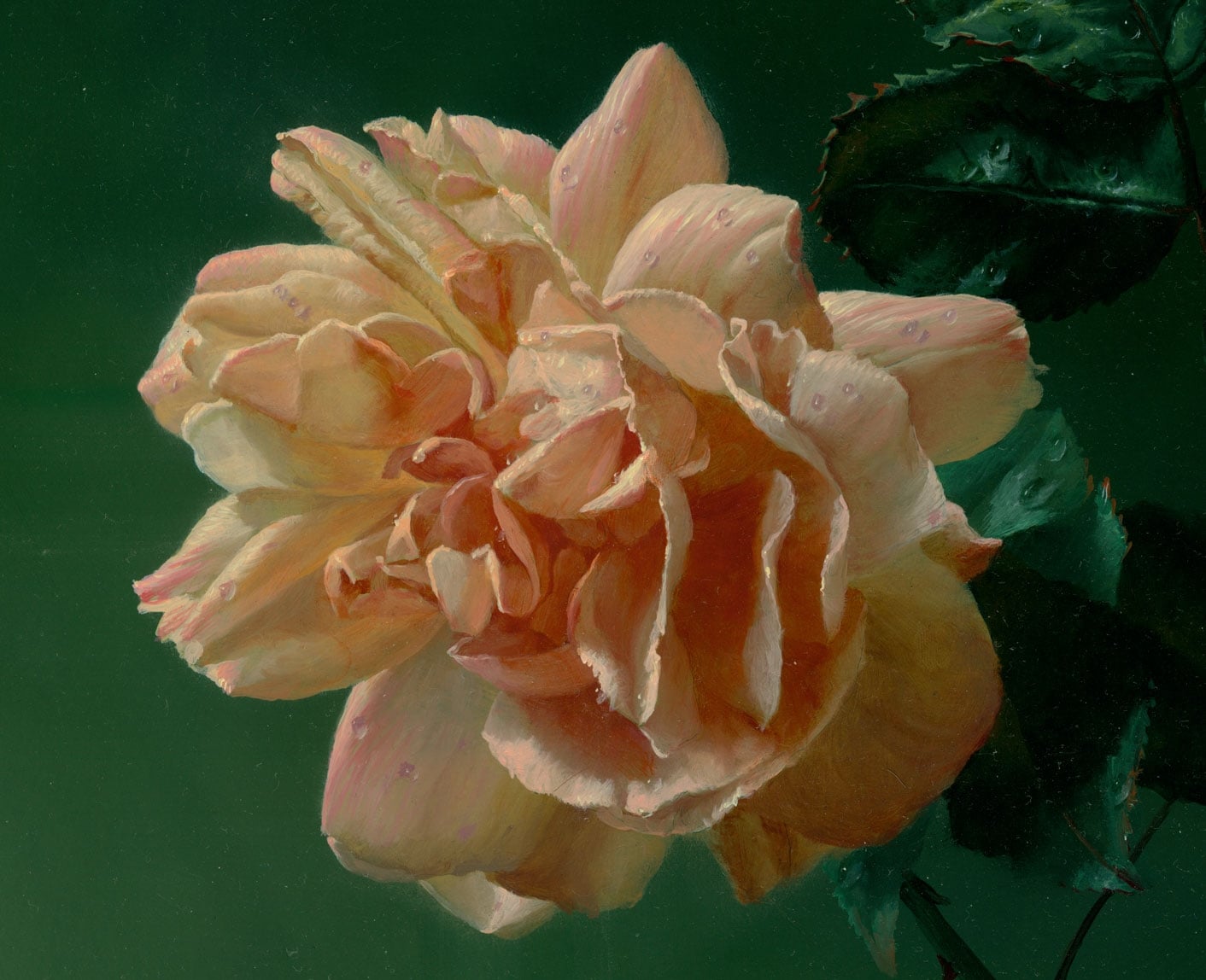 其他 - 花卉画作 - 柔美花卉绽于绿背景 