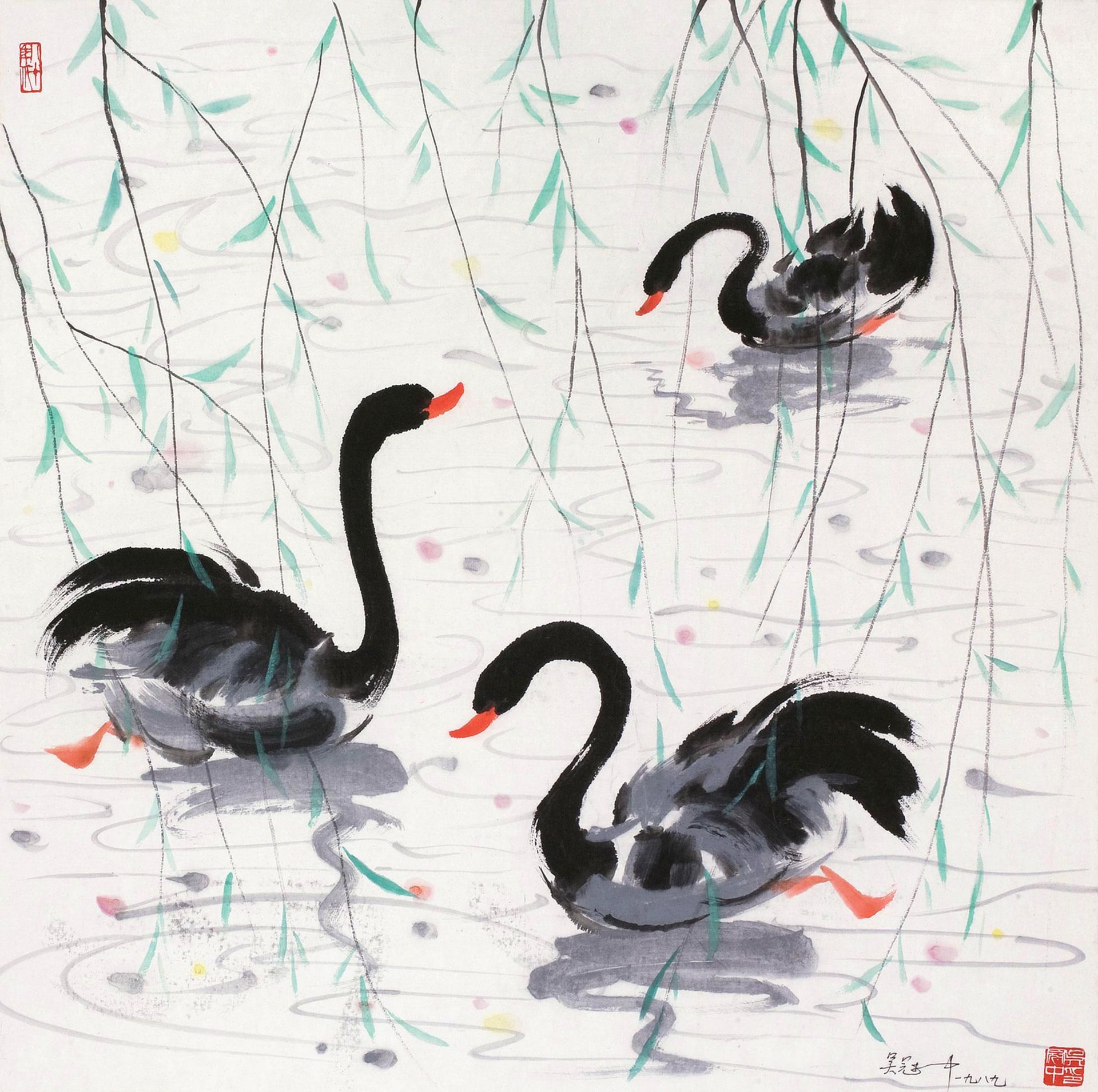 自然风景神韵主题 - 柳下黑鹅 - 黑鹅悠游于柳影碧波间 
