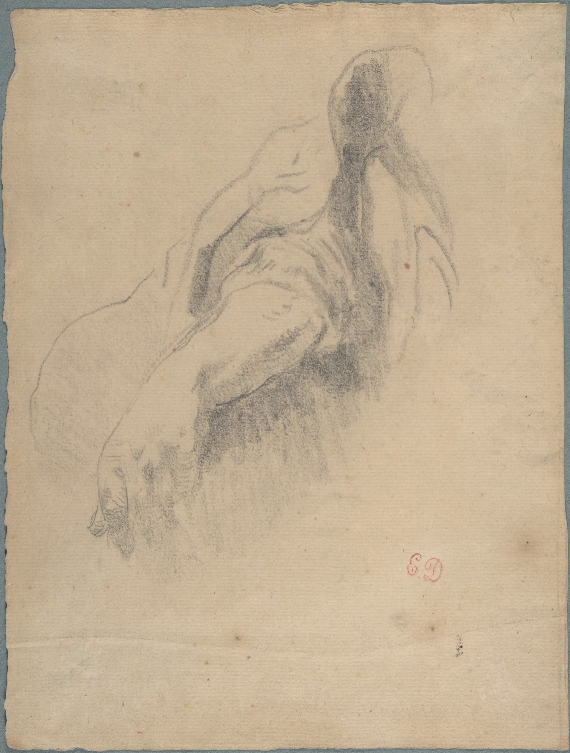 其他 - 佚名素描作品 - 人物局部的铅笔素描 