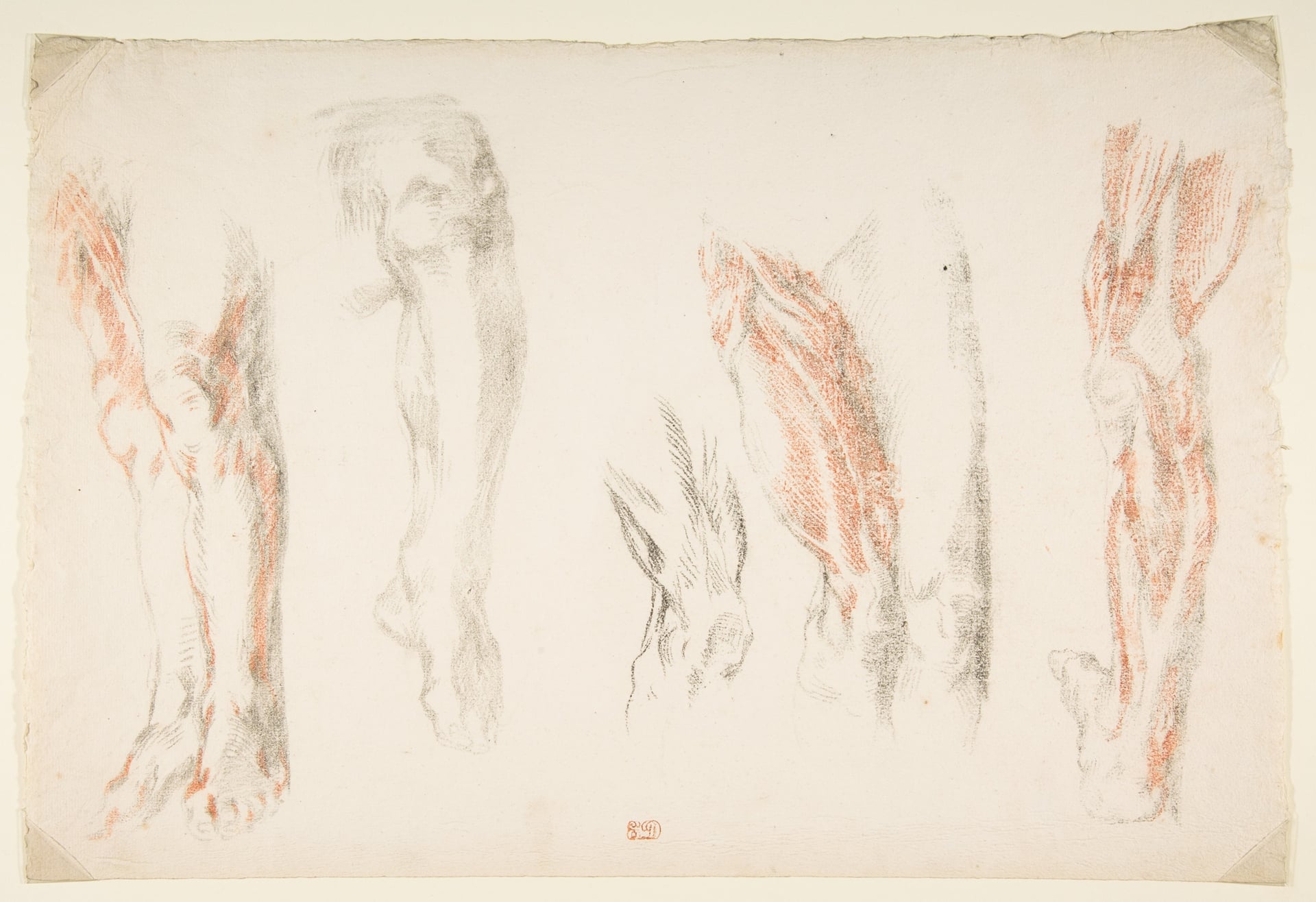 其他 - 人体腿部肌肉素描 - 腿部肌肉结构素描稿 