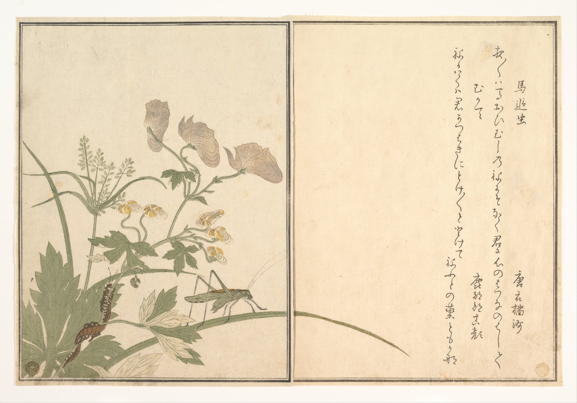 其他 - 未知 - 花草昆虫与日文书法 